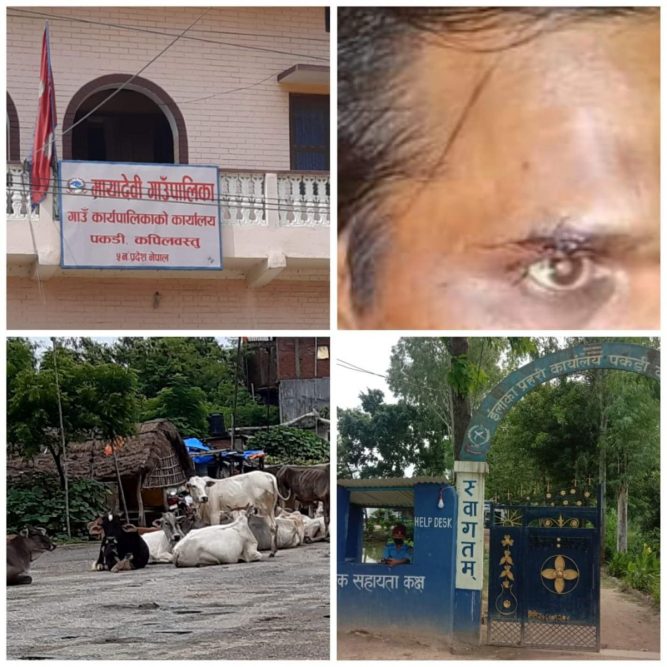 गाई-गोरुलाई जलेश्वर धाममा छोड्न जाने क्रममा आक्रमण