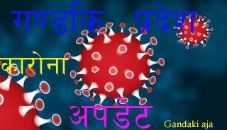 गण्डकी प्रदेशमा थप ९९ जनामा कोरोना पुष्टि