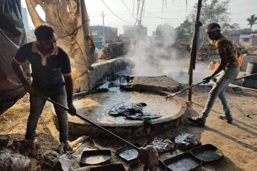 भेली बनाउदै बहादुरगंजका स्थानीयवासी