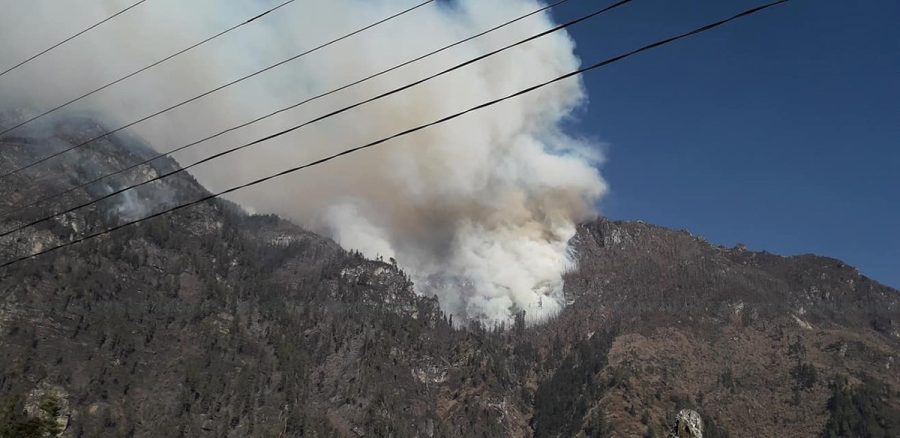 हिमरेखासँगै उँभो गएका बोट-बिरूवाले हिमालपारिको मनाङमा लाग्यो हिउँदमा डढेलो